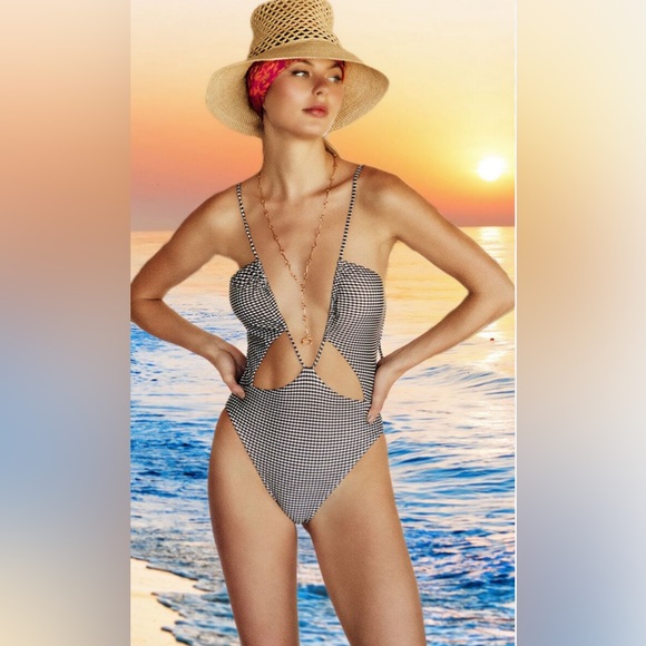 NWT VIX PAULA HERMANNY 
Lupita Gingham Cutout Plunge One-Piece Swimsuit - M - Picture 2 of 12